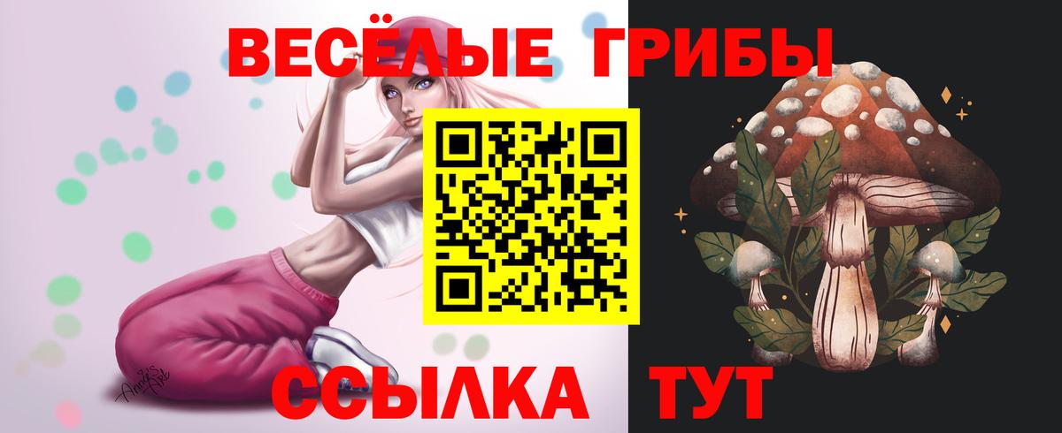 Сафоново  Галлюциногенные грибы Magic Shrooms  Вход с VPN 